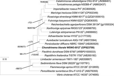 Chondrinema litorale gen. nov., sp. nov., of the phylum Bacteroidota, carrying multiple megaplasmids isolated from a tidal flat in the West Sea, Korea